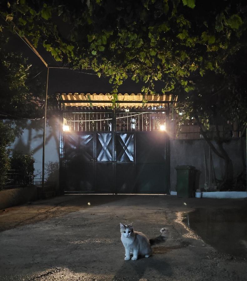 Unique Traditional House, Hosted By J&G 티라나 외부 사진