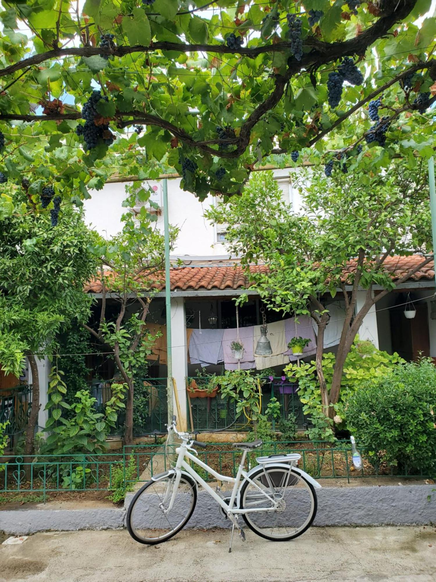 Unique Traditional House, Hosted By J&G 티라나 외부 사진