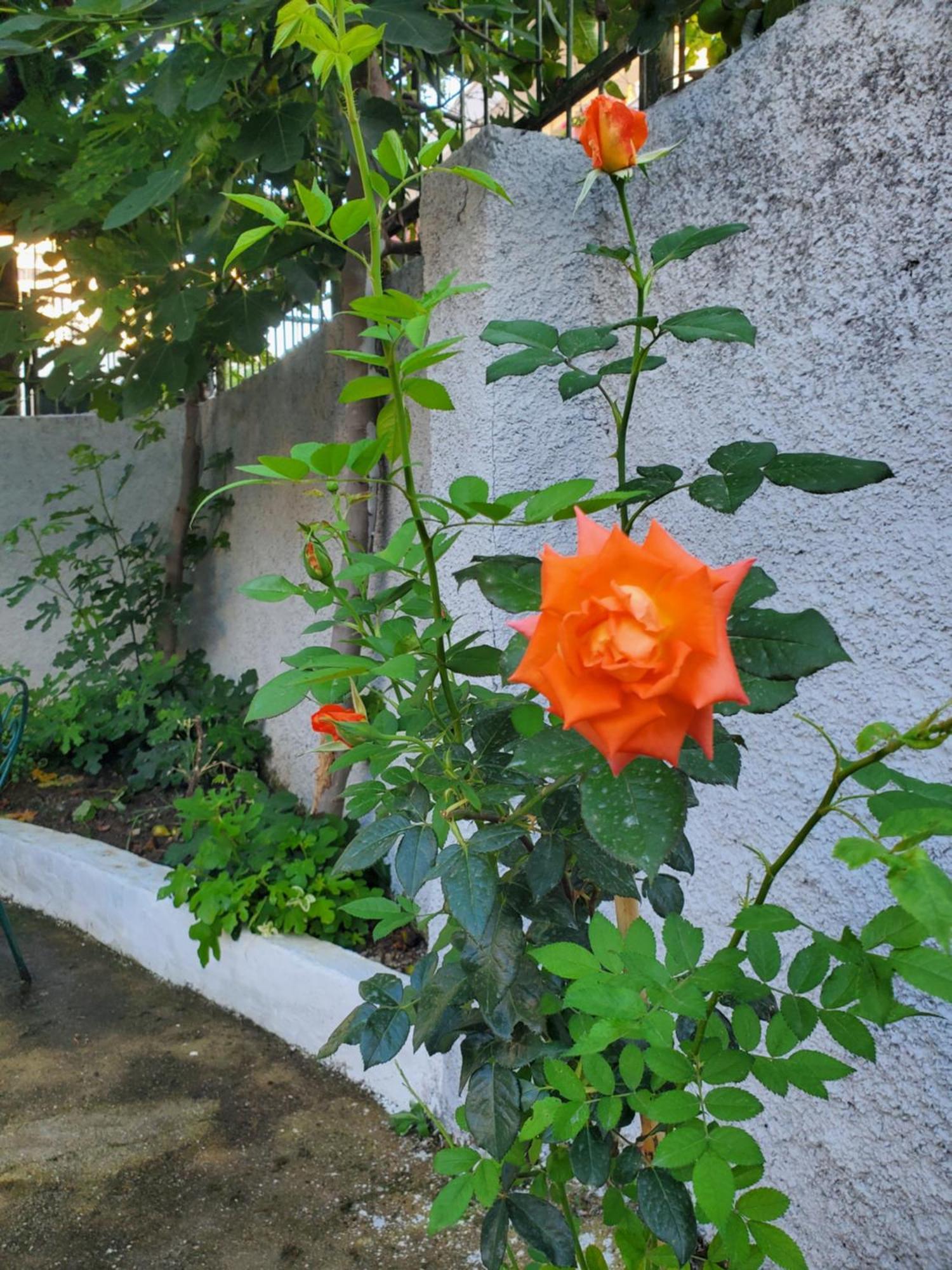 Unique Traditional House, Hosted By J&G 티라나 외부 사진
